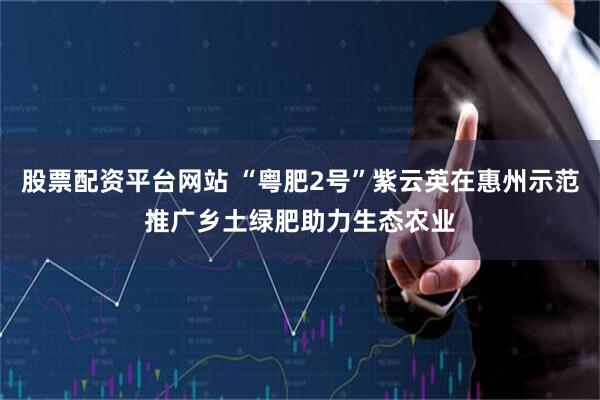股票配资平台网站 “粤肥2号”紫云英在惠州示范推广乡土绿肥助力生态农业
